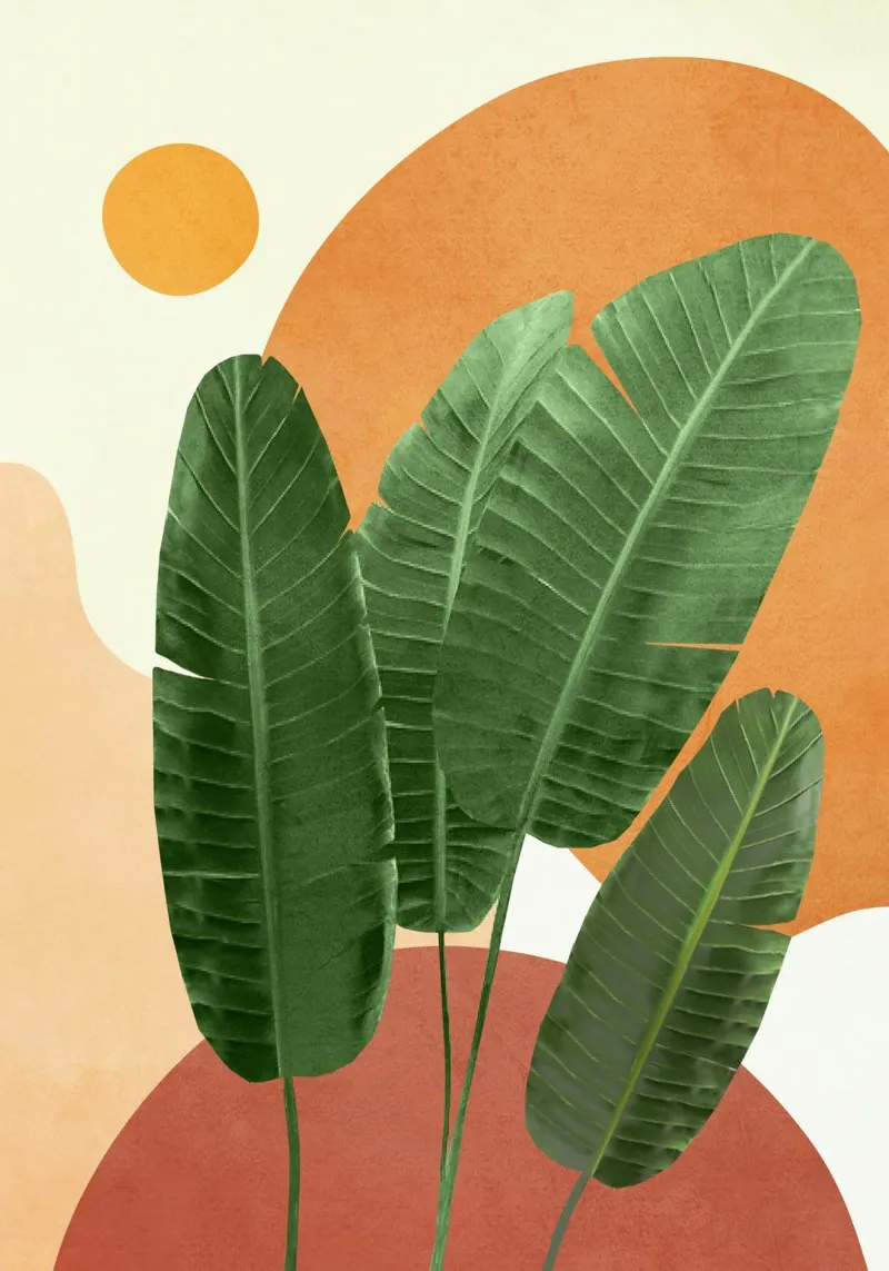 Banana Leaves Alu-Dibond von Flow Line