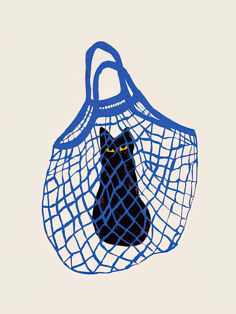 The Cat s In The Bag canvas by Reece Shop