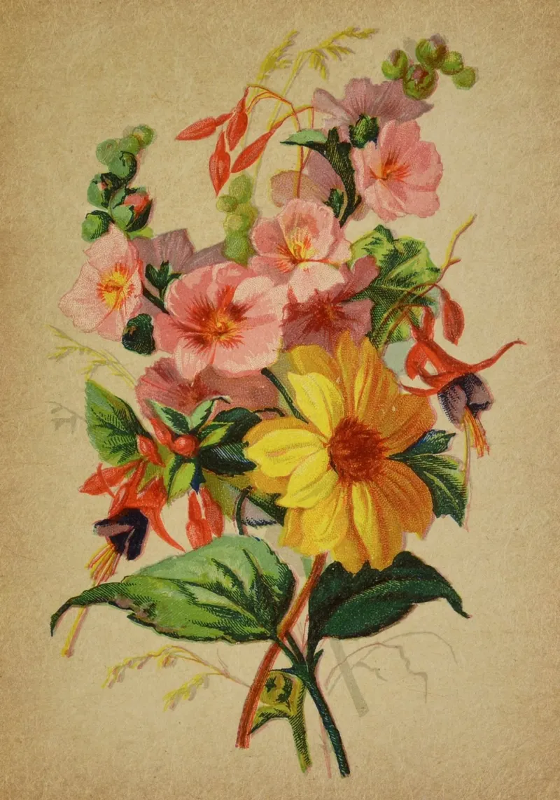 Bouquet no. 8 carta hahnemühle da vintagebotanics