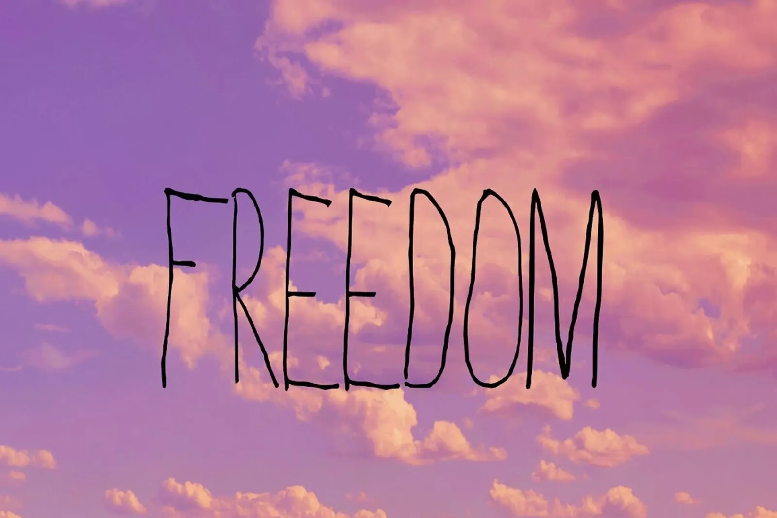 Freedom poster by Vintage Skies