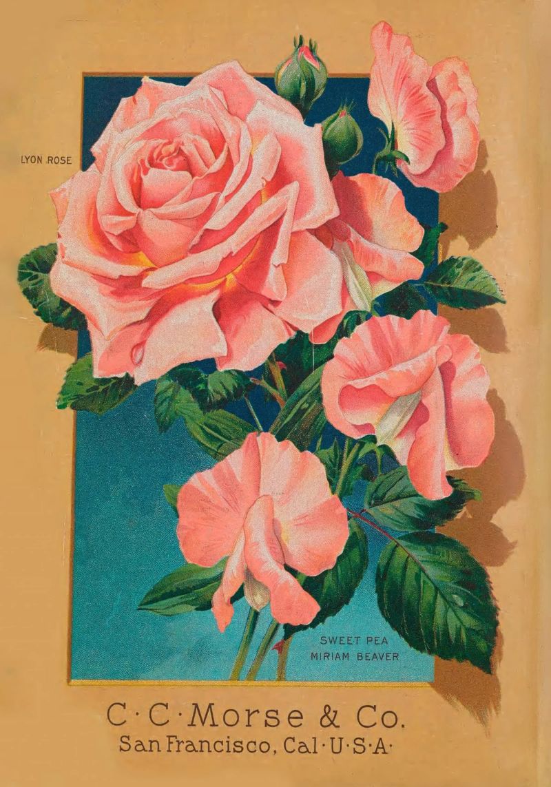 Sweet Summer Child Poster von vintagebotanics