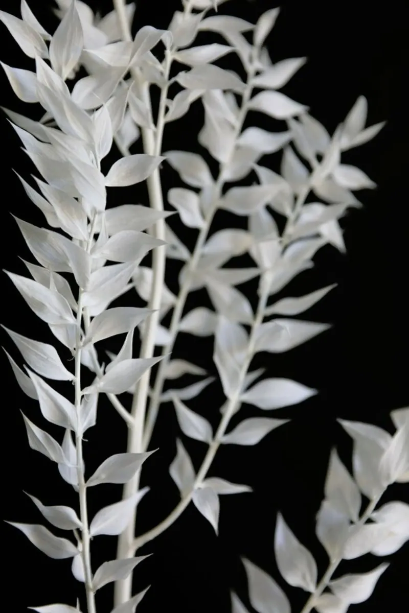 Minimal Black & White Branch plexiglass da Studio Nahili