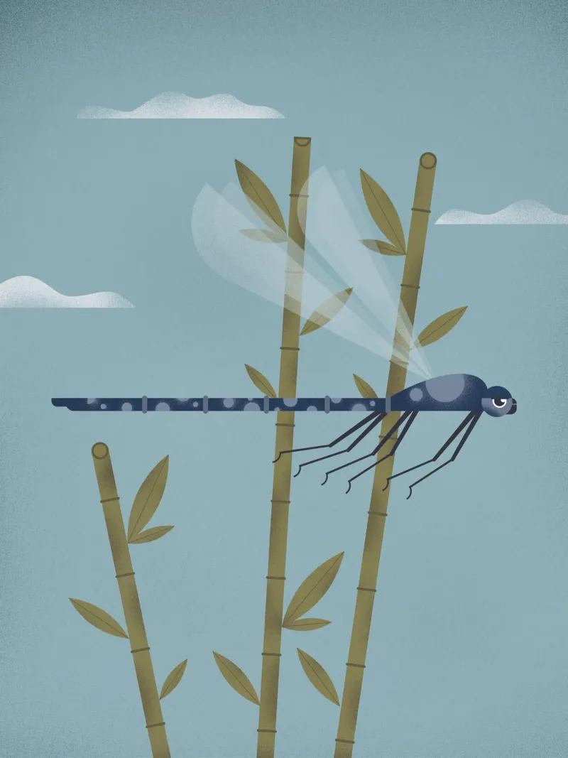 Les Petites Bestioles - Libellula in volo poster con telaio in alluminio da 2fevrierArtStudio