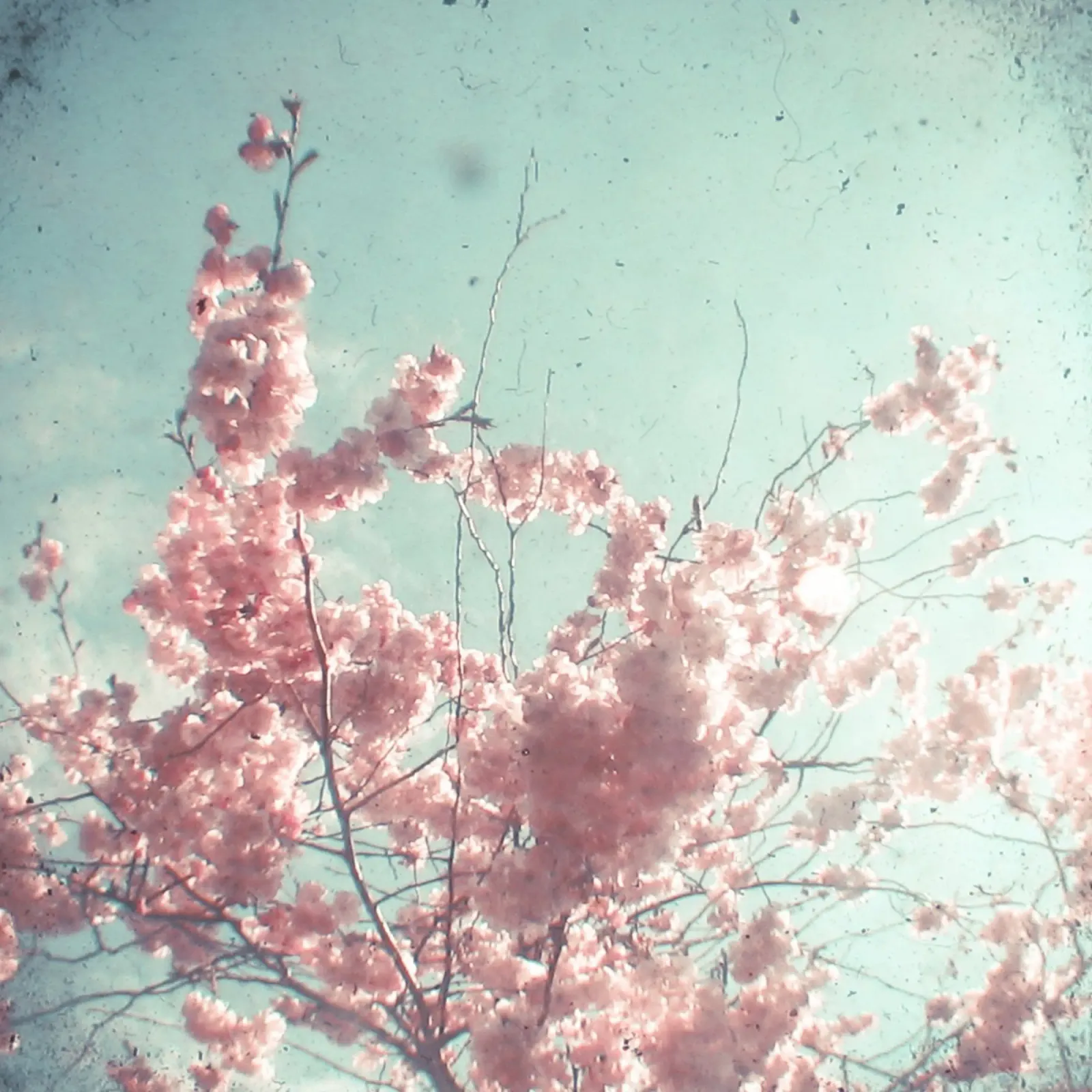 Candy Floss hahnemühle by Cassia Beck Photography