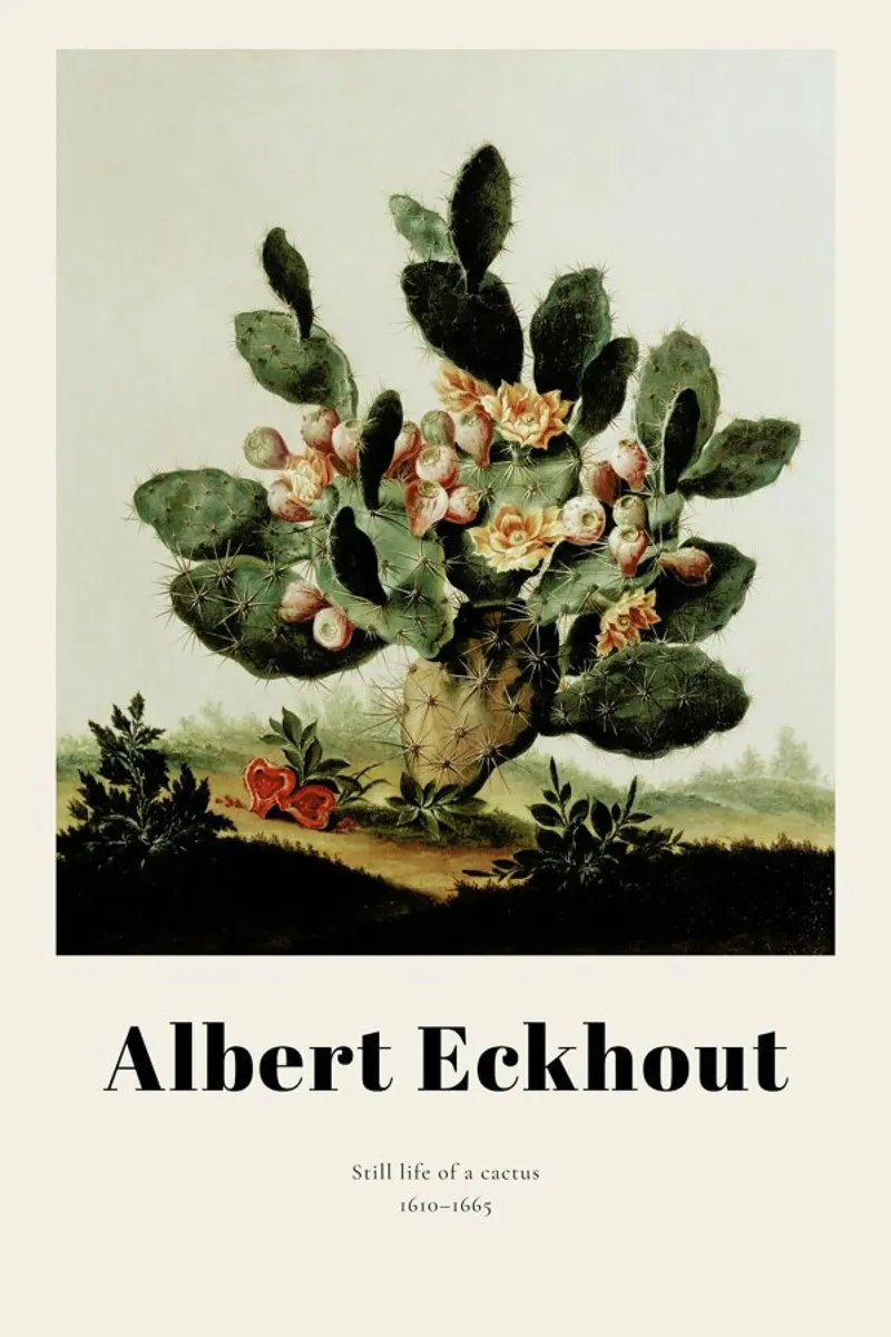 Albert van der Eeckhout- Still Life of a Cactus carta hahnemühle da ARTOTHEK