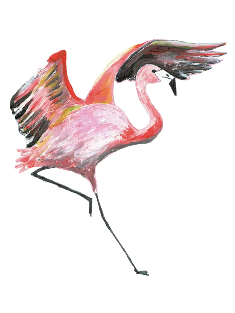 Flamingo pellicola backlit da Femke Zwaan