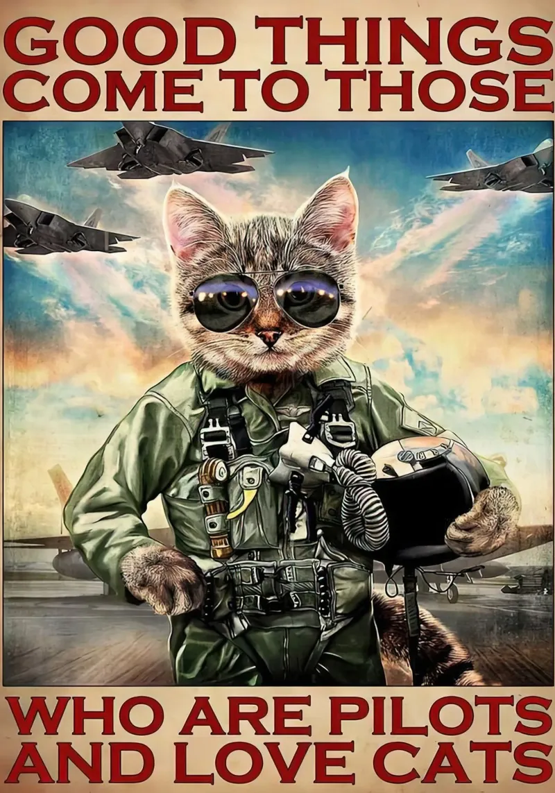 Gute Dinge kommen zu denen, die Piloten sind und Katzen lieben Leinwand mit Schattenfugenrahmen von Aaronshop