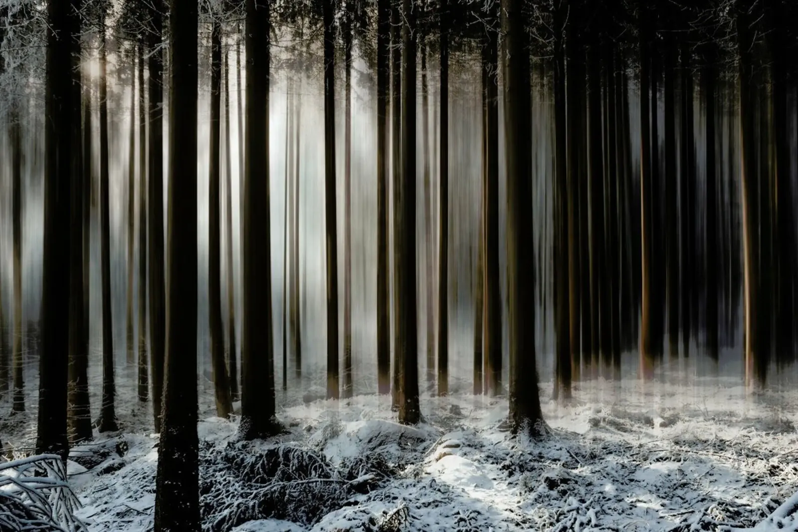 Welcome to Narnia @Ohenze pellicola backlit da EyeEm Mobile GmbH