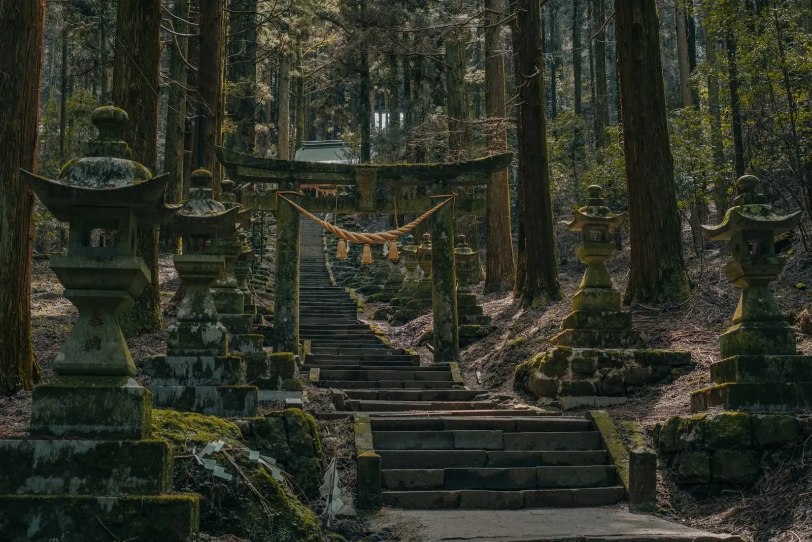 Forest Shrine in Kyushu, Japan acrylic glass by Marcel Bisig
