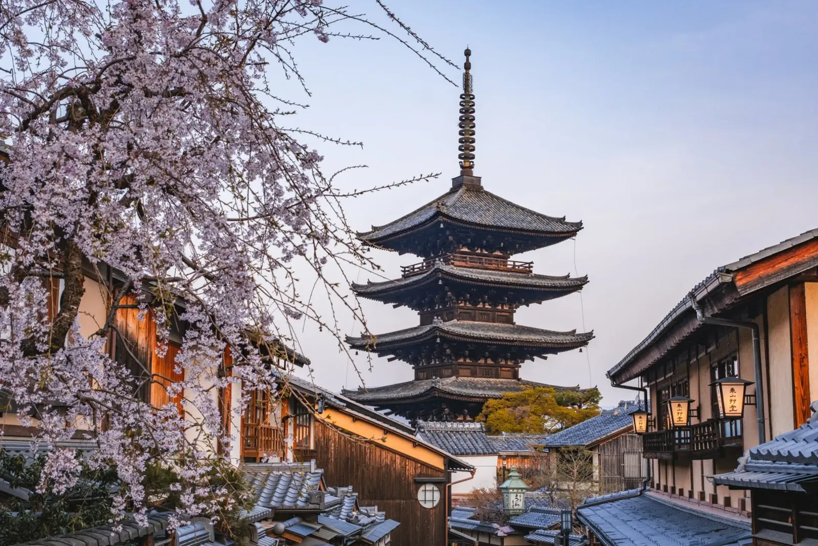 Fiori di ciliegio a Kyoto, Giappone pellicola backlit da Marcel Bisig