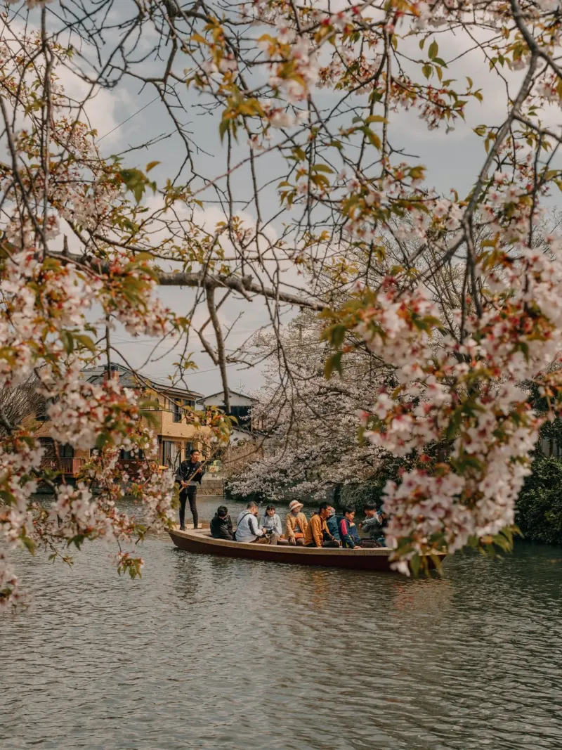 Giro in barca per la fioritura dei ciliegi a Yanagawa, Giappone pellicola backlit da Marcel Bisig