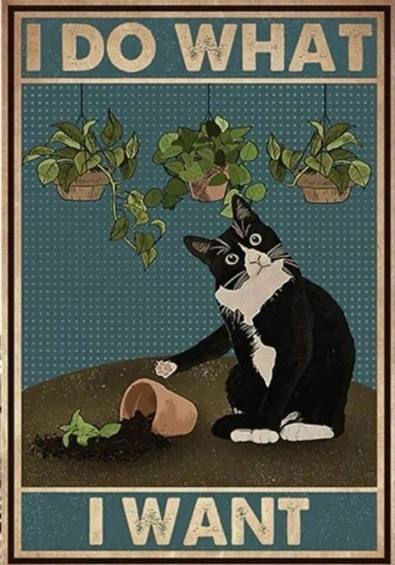 i do what i want canvas by Witon name shop