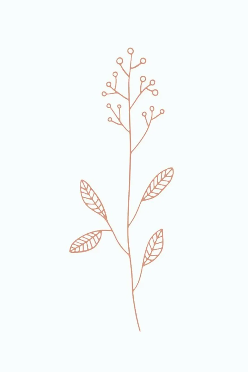 Coral Sketch carta hahnemühle da KRUTH DESIGN