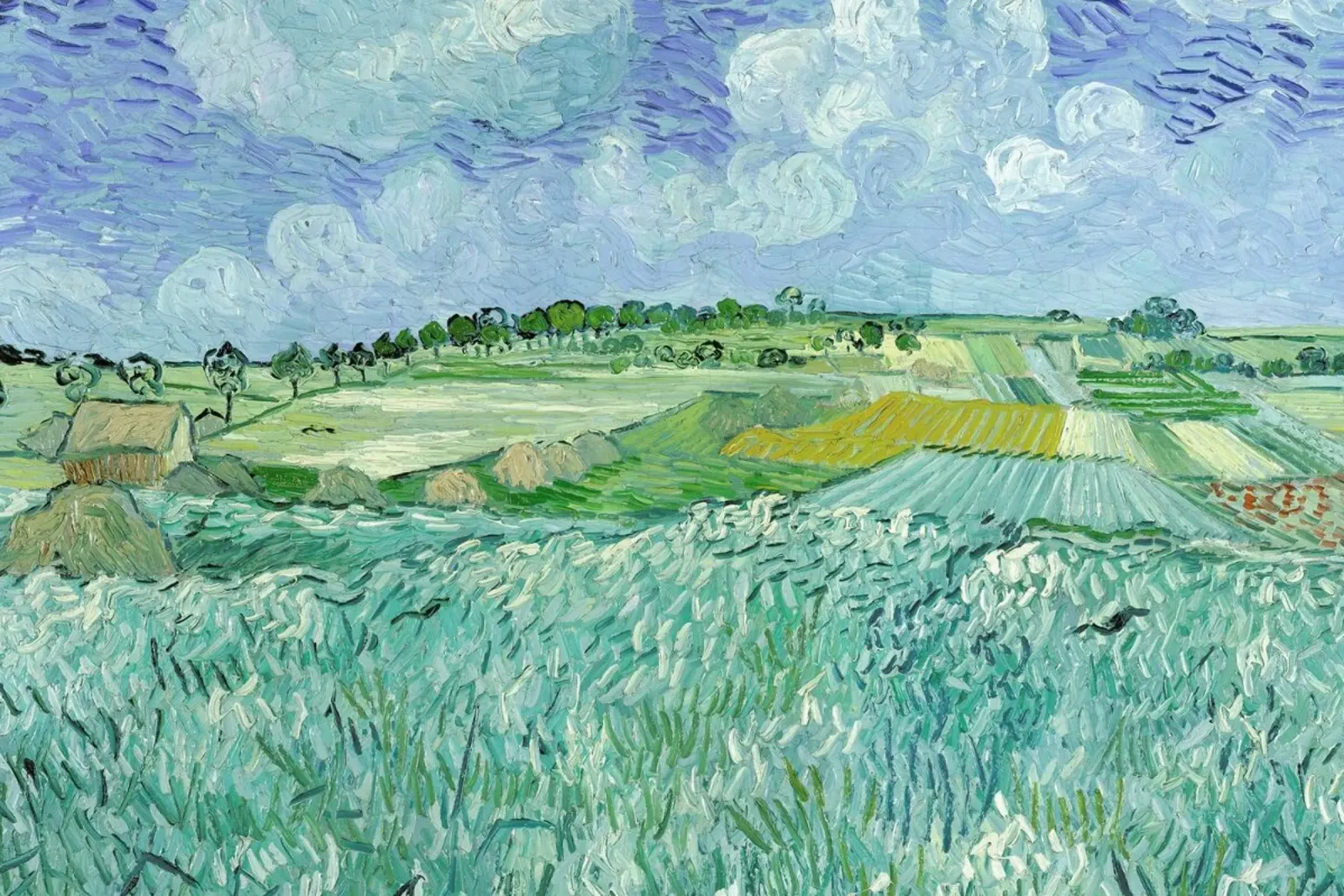 van Gogh - Plain of Auvers pellicola backlit da ARTOTHEK