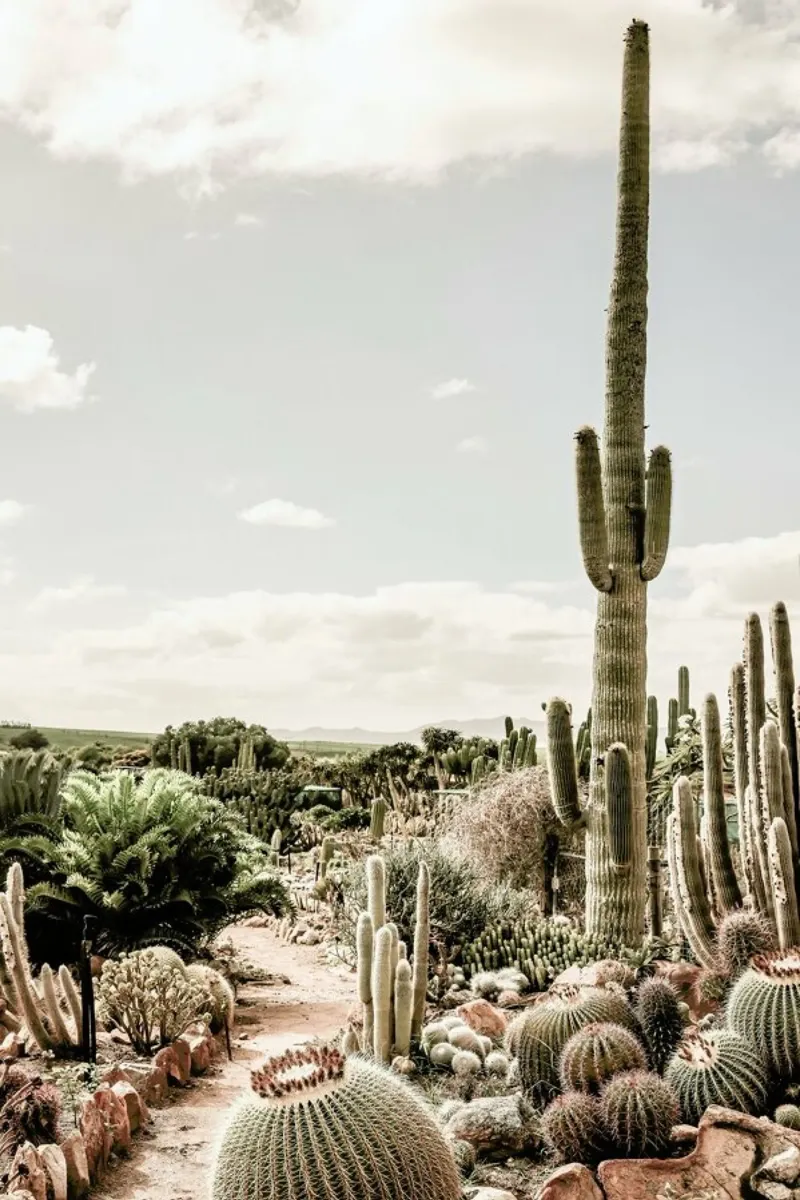 Catus Farm alluminio dibond da Shot By Clint