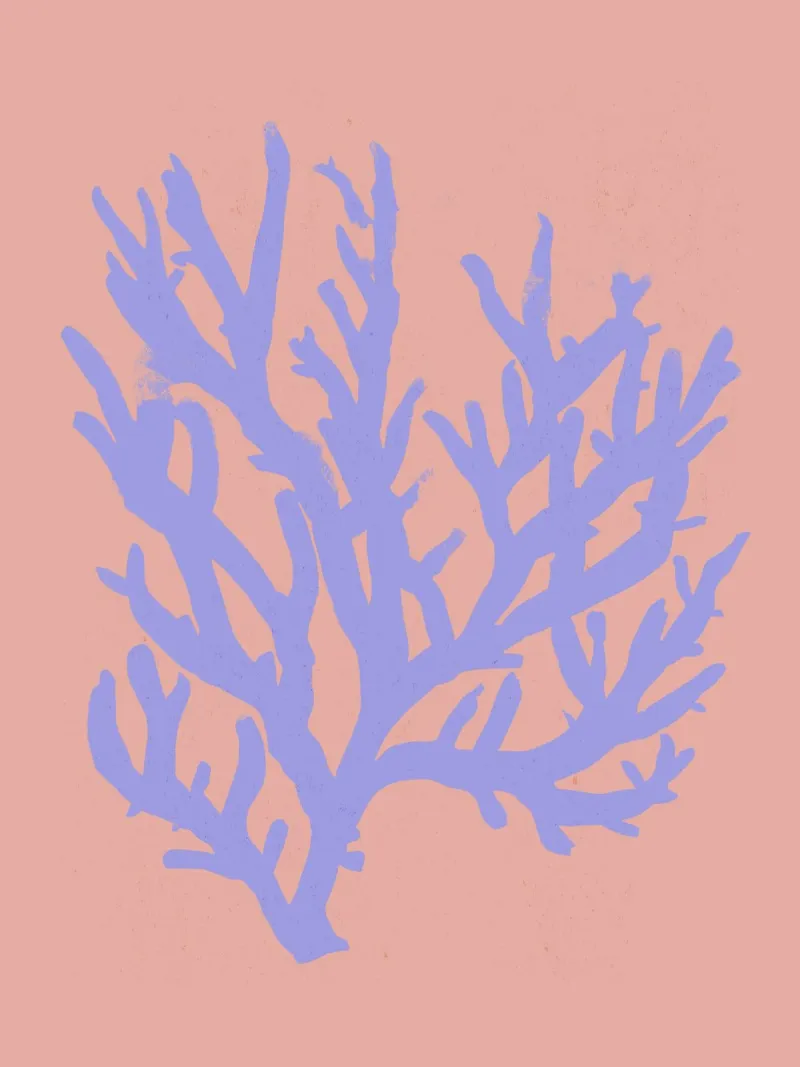 Pastel Coral No 02 pellicola backlit da treechild