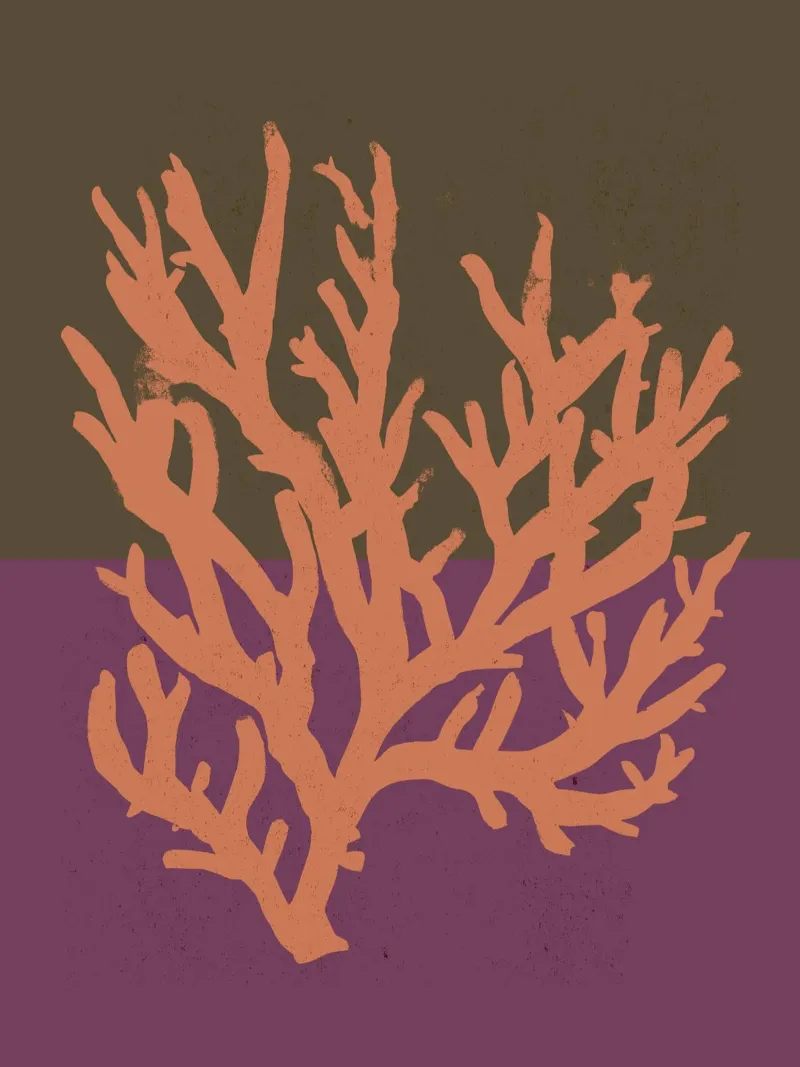 Pastel Coral no 02 plexiglass da treechild