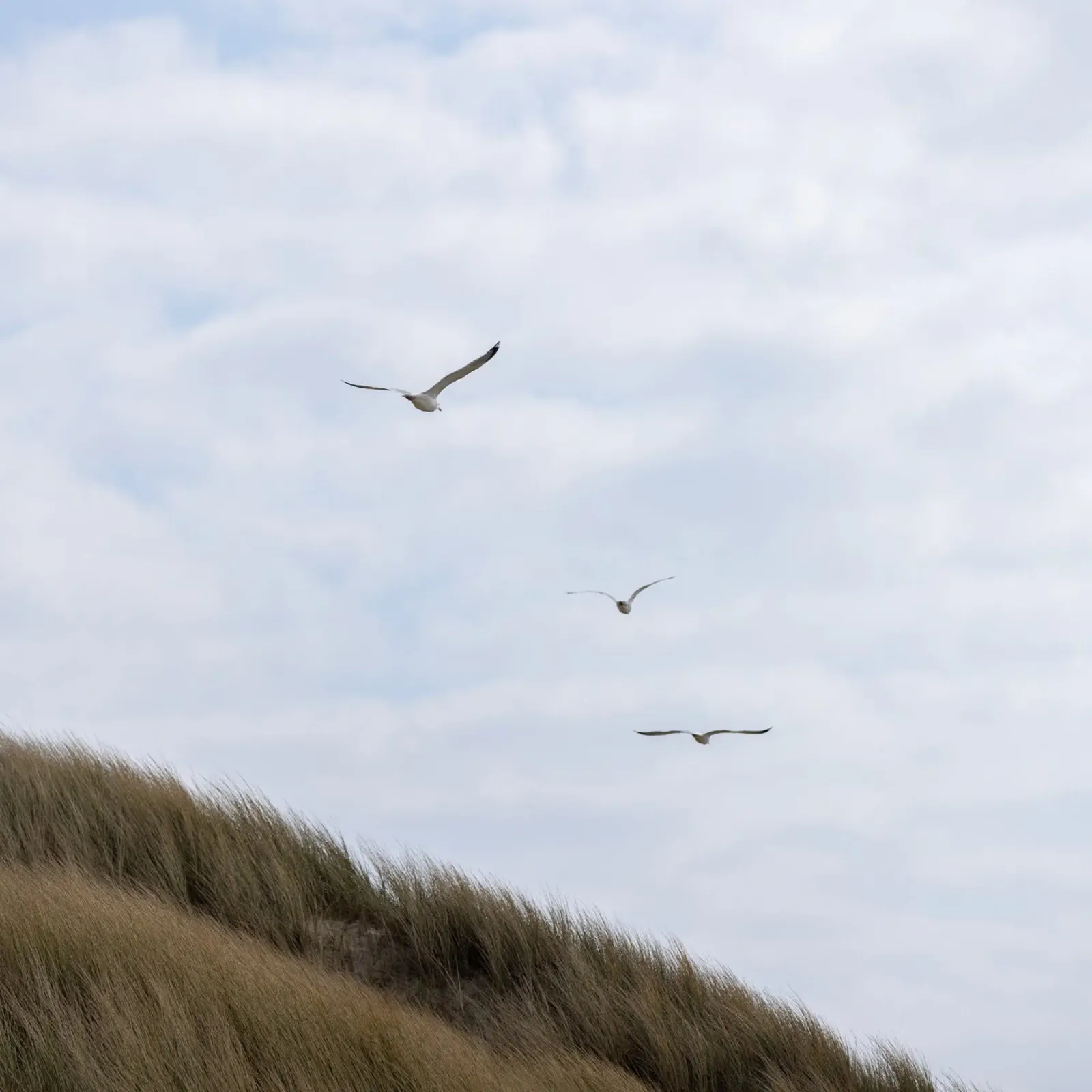 At the Coast 7 carta hahnemühle da Mareike Böhmer Photography