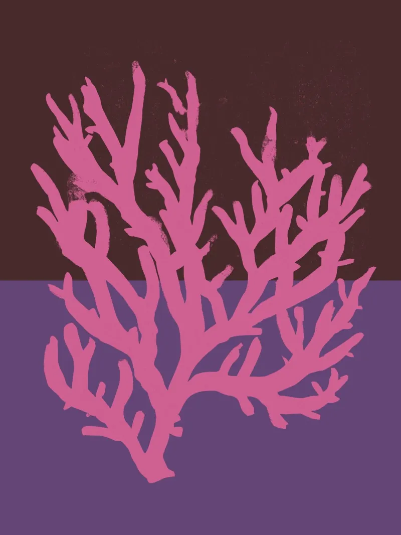 Pink Coral backlit film by treechild