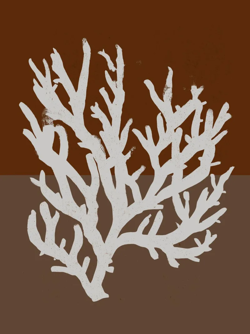 White Coral No 01 pellicola backlit da treechild