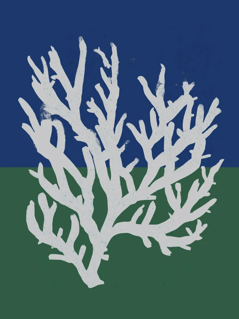 White Coral No 02 pellicola backlit da treechild