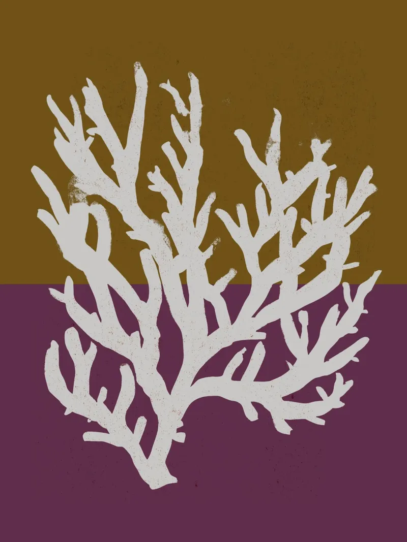 White Coral No 03 carta hahnemühle da treechild