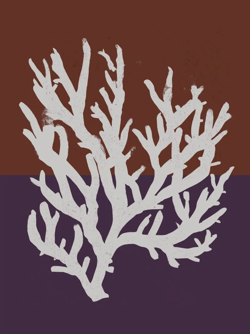 White Coral No 04 alluminio dibond da treechild