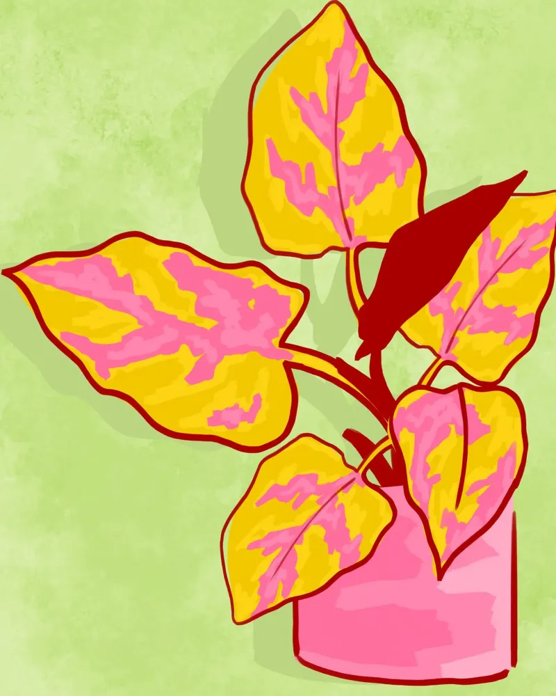 Spring Garden canvas by Kintsugi99