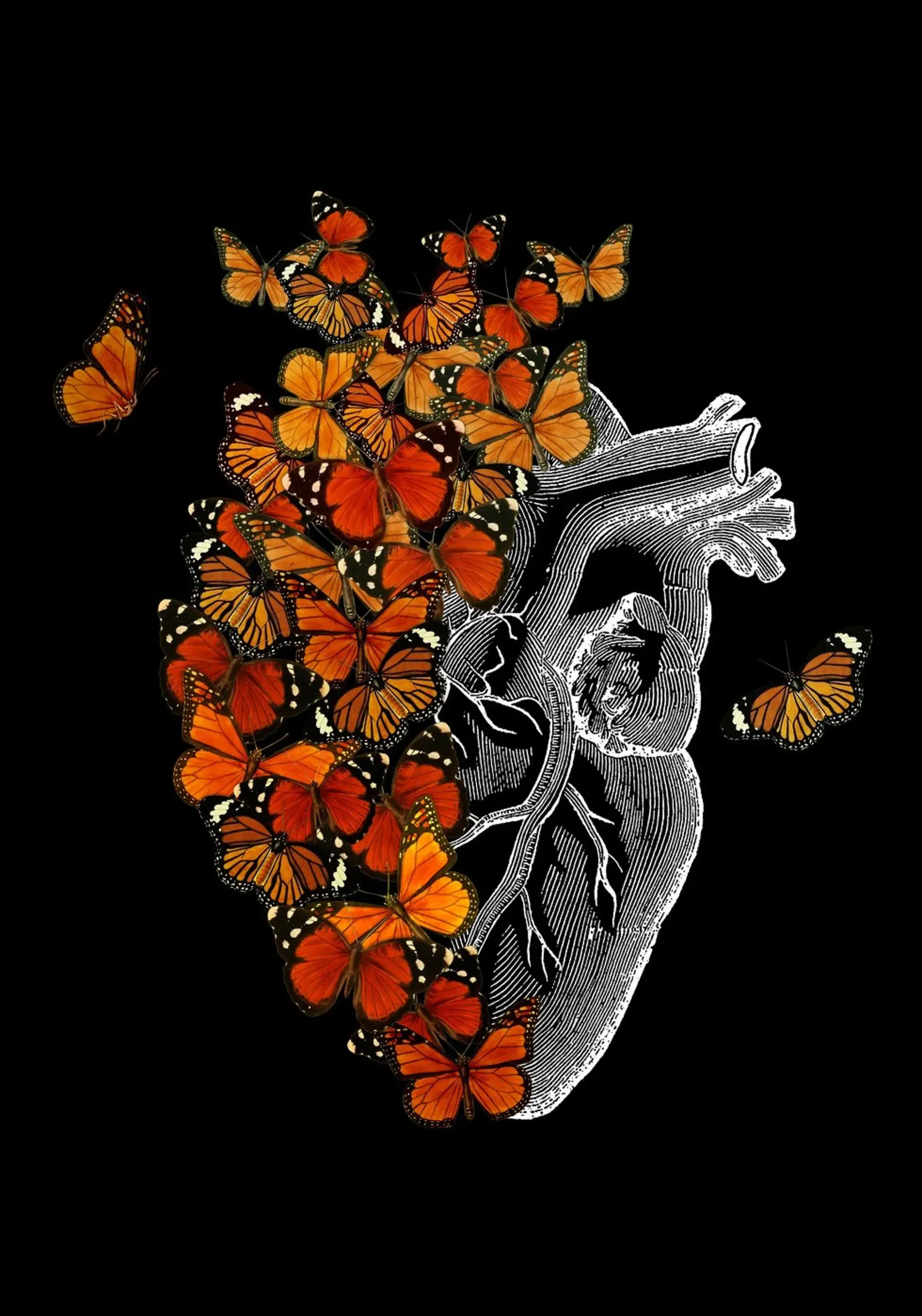 Cuore di farfalla monarca pellicola backlit da Tobe Fonseca
