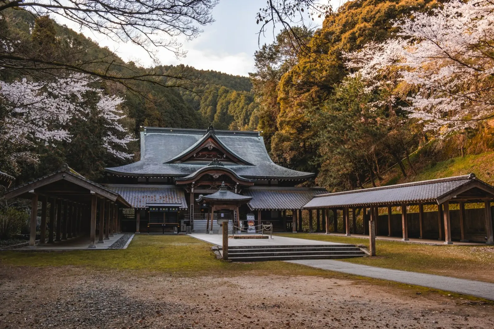Tempio della foresta serena a Shikoku, Giappone pellicola backlit da Marcel Bisig