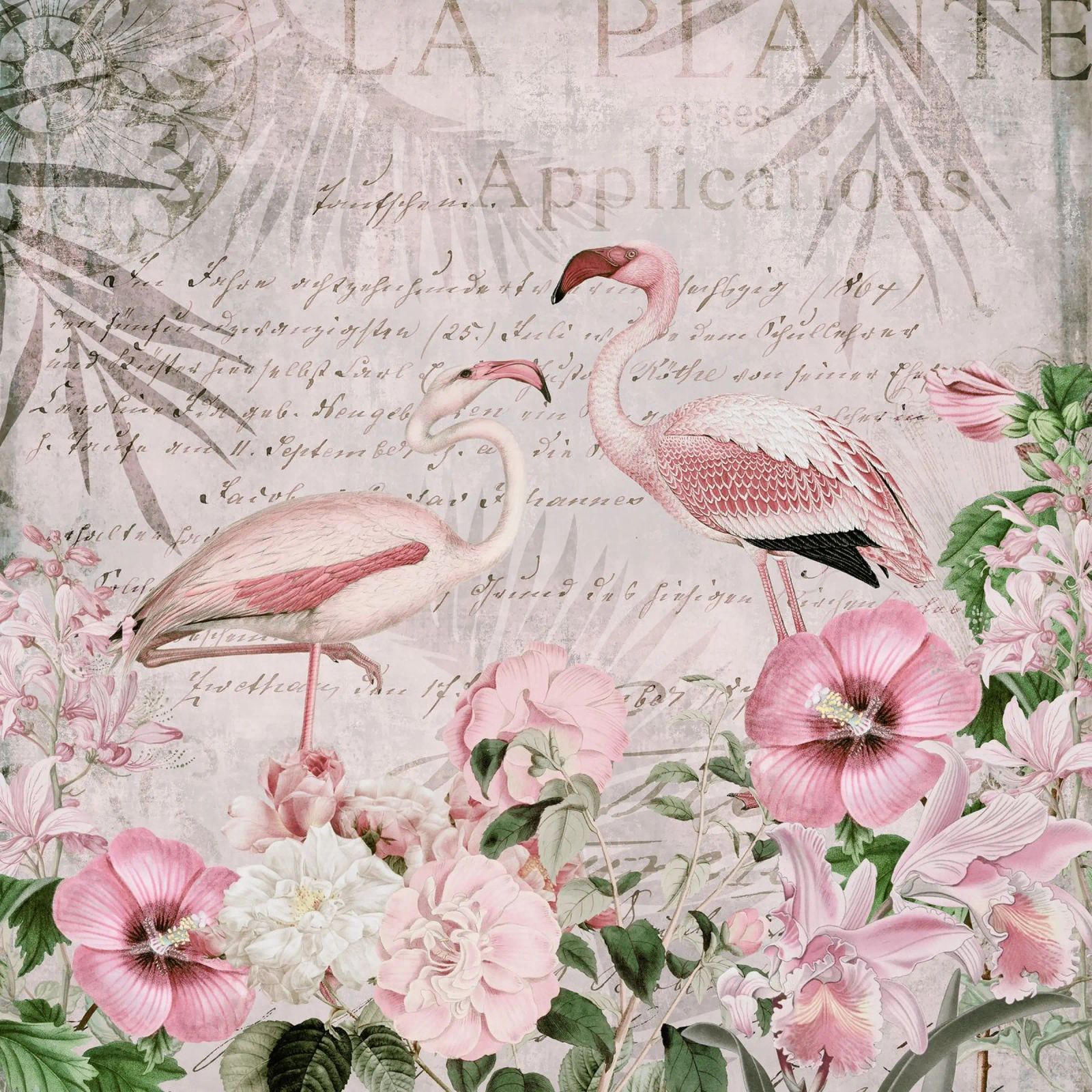 Le paradis des flamants roses poster de Andrea Haase Vintage World