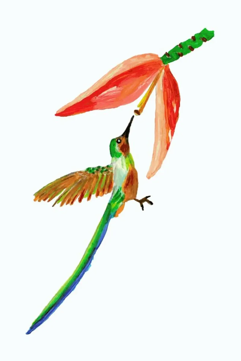 Hummingbird and Flower pellicola backlit da Femke Zwaan