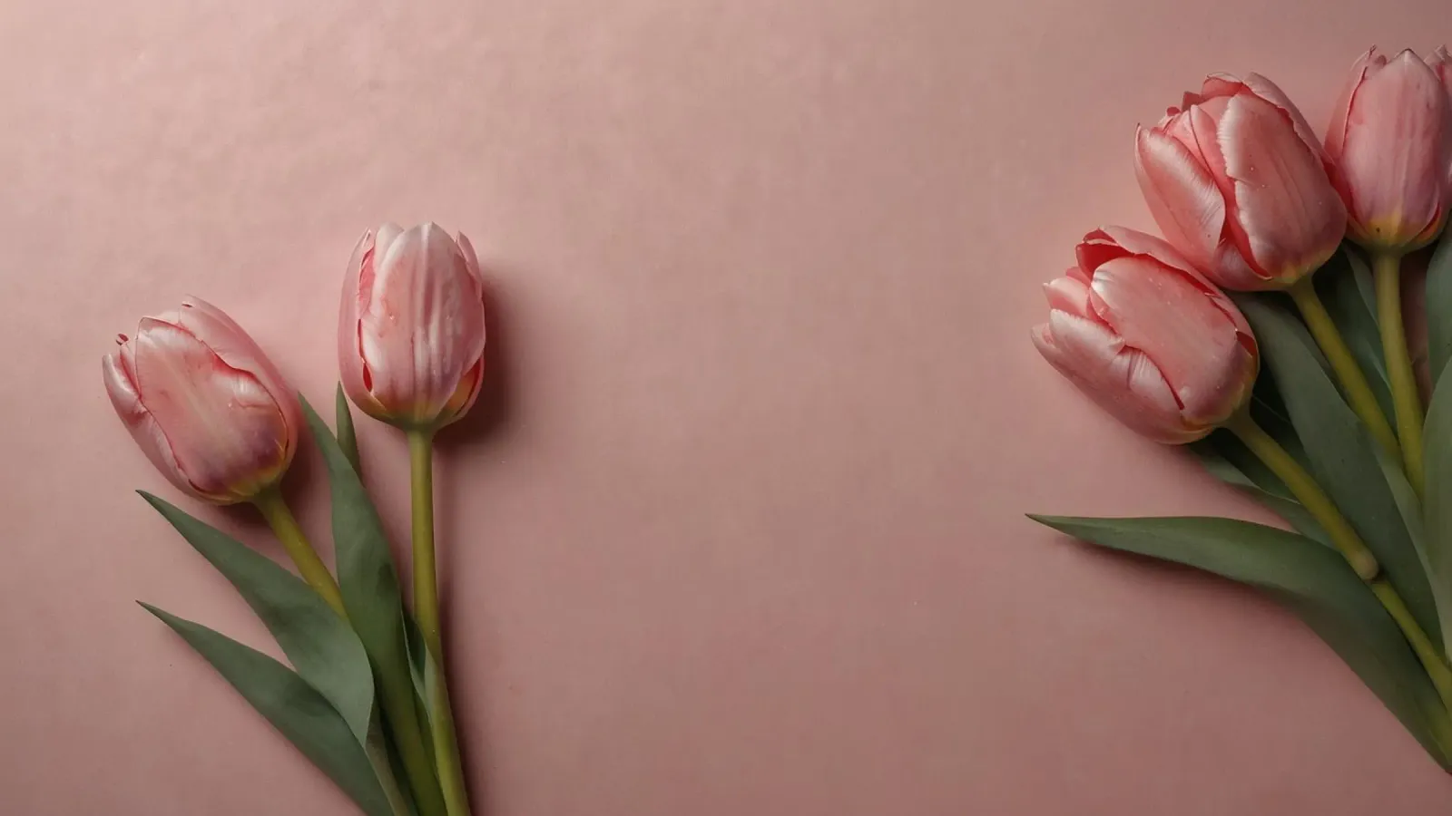 Romantic pink tulips arranged on soft pink background canvas with Floater frame by DesignDoodle