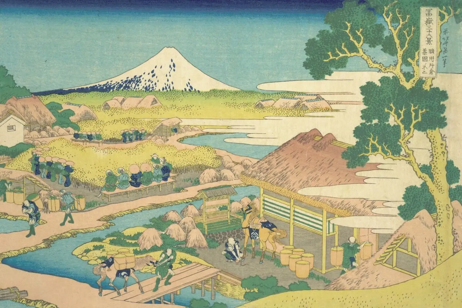 Hokusai - Fuji from the Katakura Tea Fields in Suruga alluminio dibond da ARTOTHEK