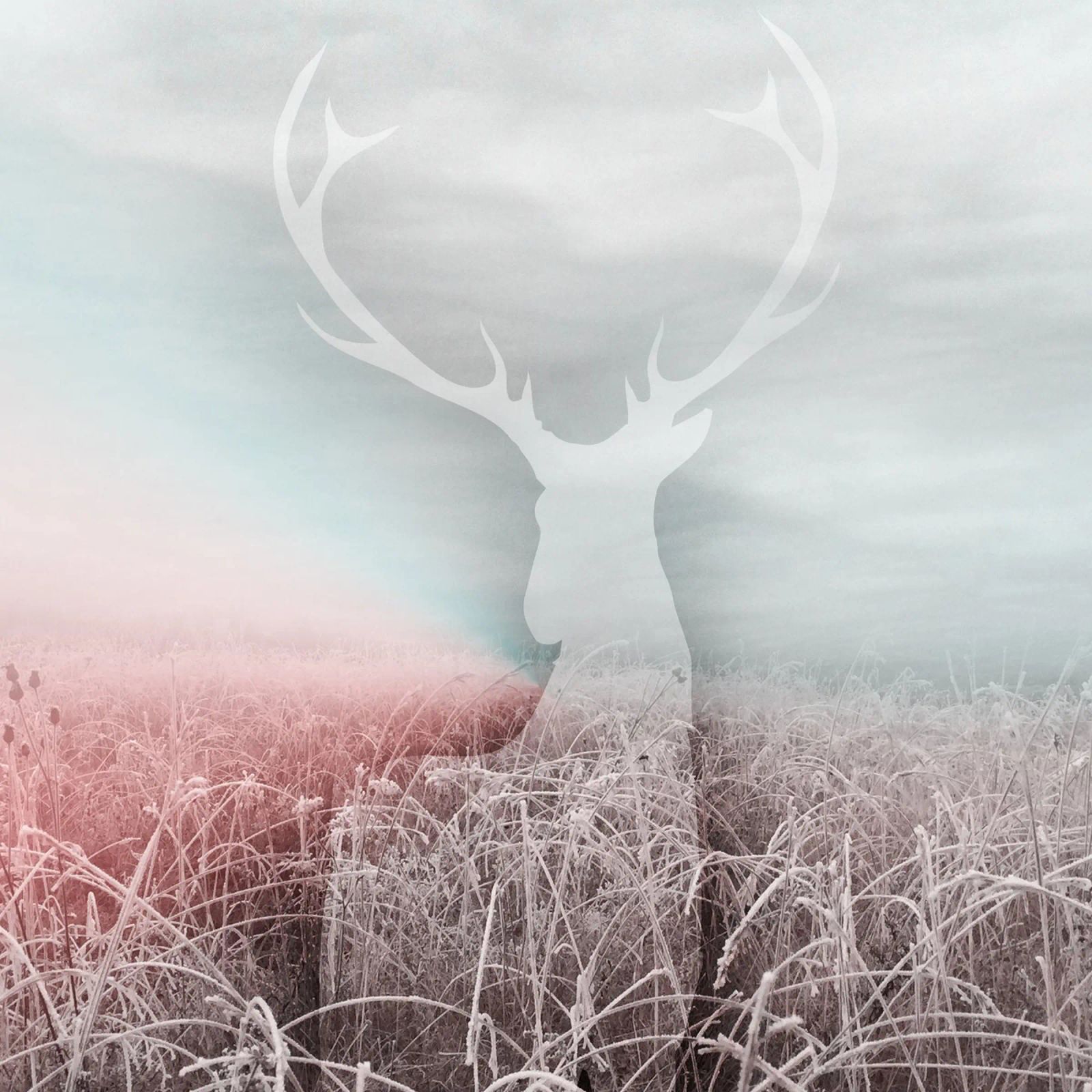 Geisterhirsch in winterlicher Landschaft – Mystische Naturku Leinwand von NA/MO