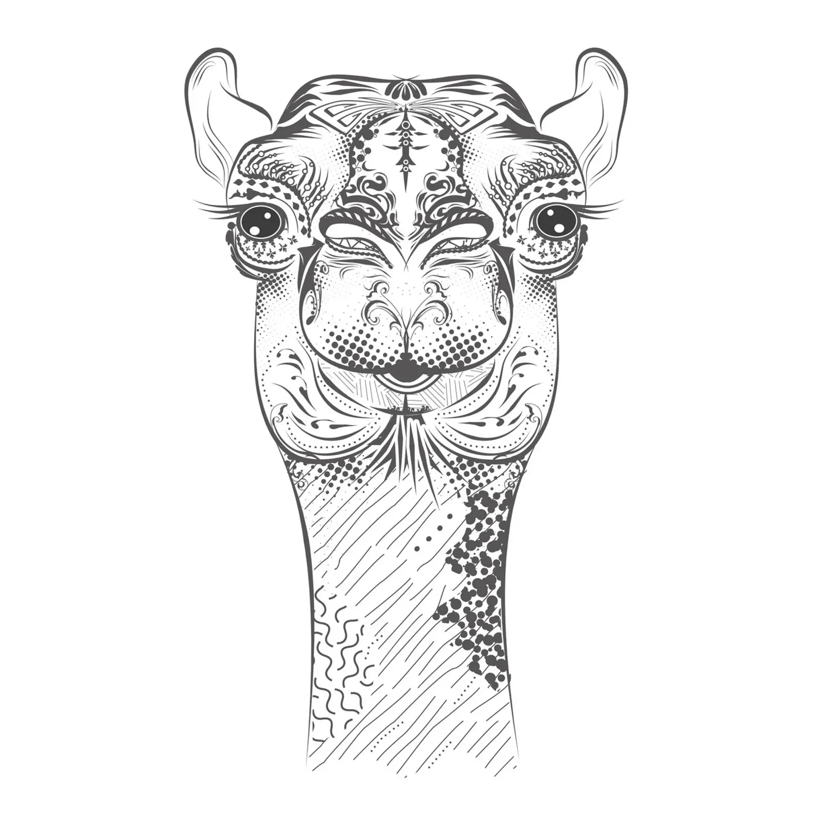 Smiling camel with ornate patterns hahnemühle by NA/MO