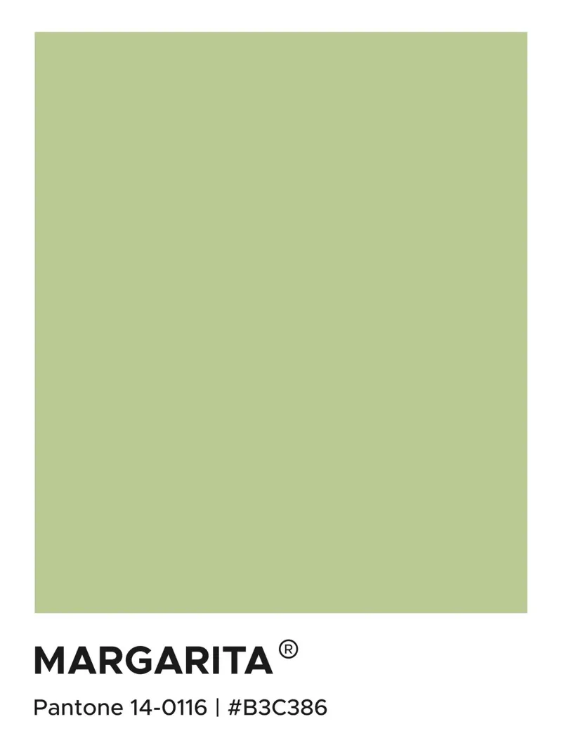 Margarita Pantone poster con telaio in legno da Paigaam Studio