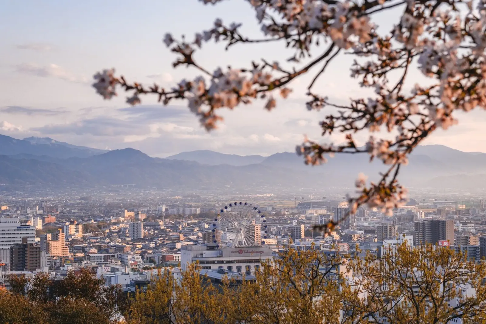 Vista sulla città dei ciliegi in fiore a Matsuyama, Giappone pellicola backlit da Marcel Bisig