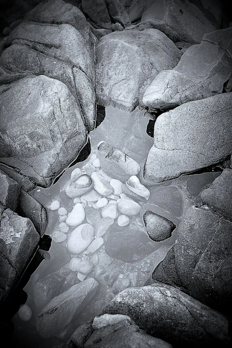 BW62 pellicola backlit da Thierry vobmann photography