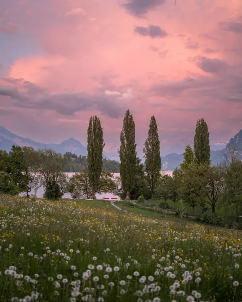 Lucerne: Sunset at the Richard Wagner Museum Wiese hahnemühle by LucernePictures