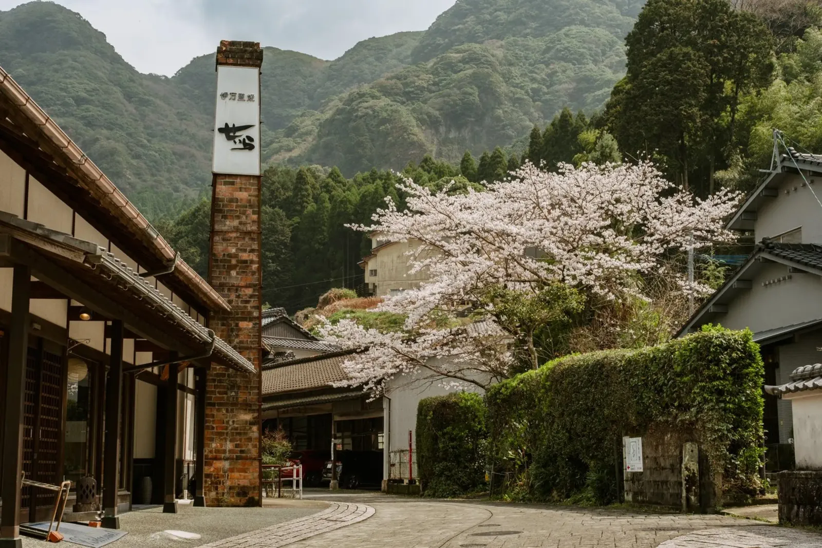 Fiori di ciliegio di Okawachiyama - Kyushu, Giappone alluminio dibond da Marcel Bisig