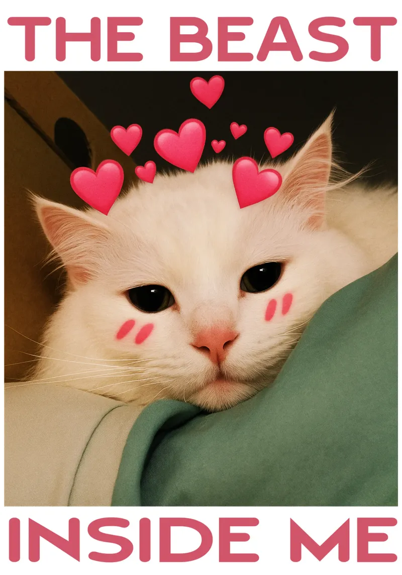 La bestia dentro di me Funny Cat alluminio dibond da the gondals