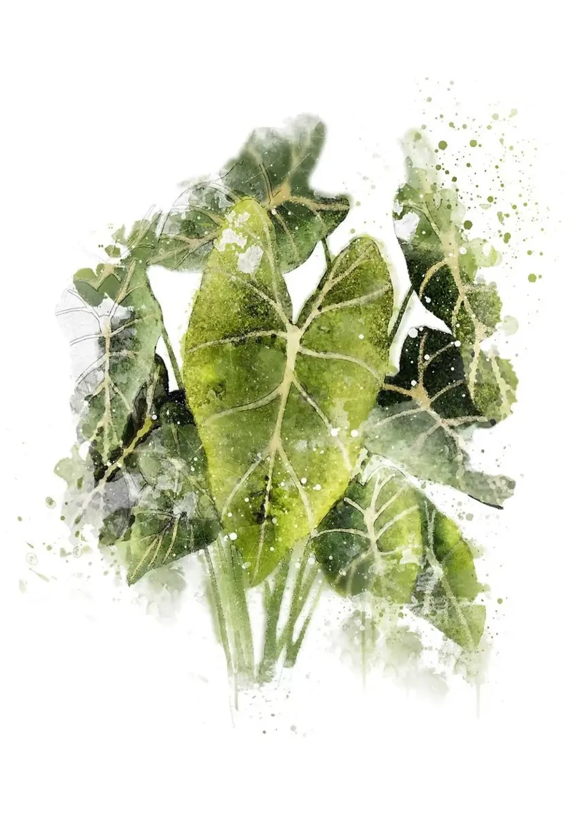 Pianta di filodendro poster da Abstract Botanical Art