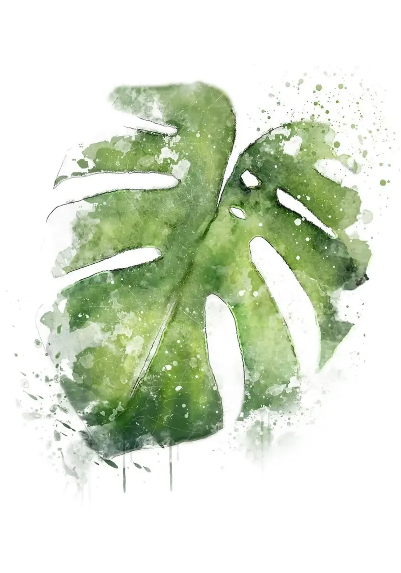 Foglie astratte di Monstera pellicola backlit da Abstract Botanical Art