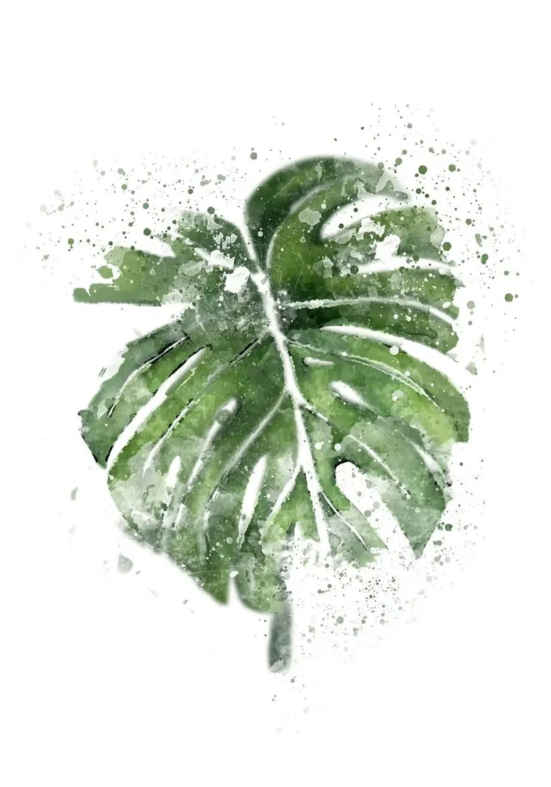 Foglie astratte di Monstera pellicola backlit da Abstract Botanical Art