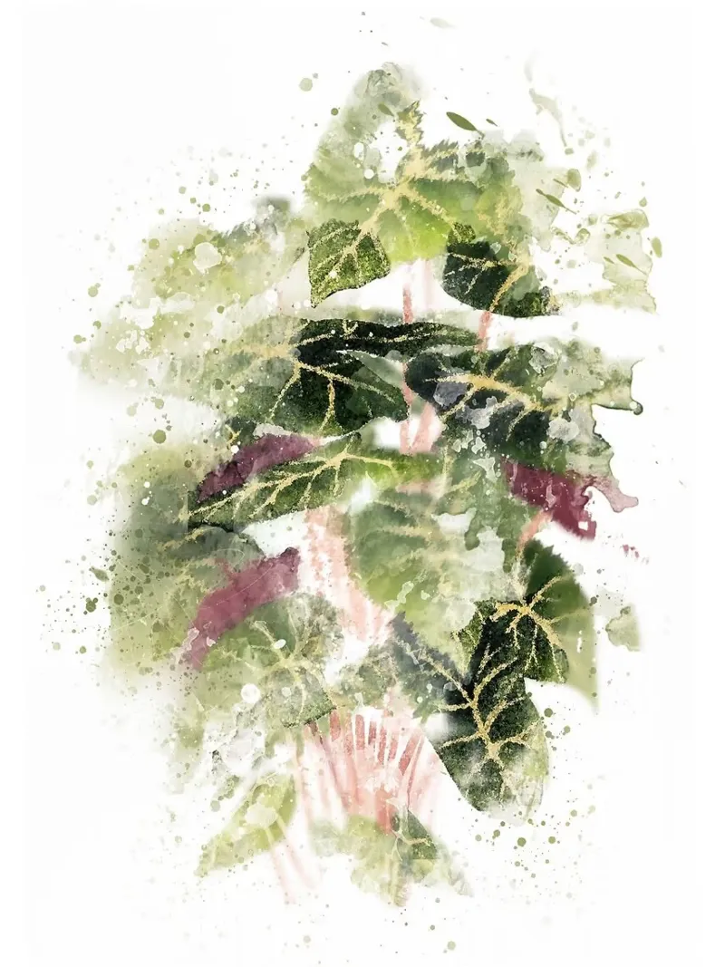 Pianta di filodendro plexiglass da Abstract Botanical Art