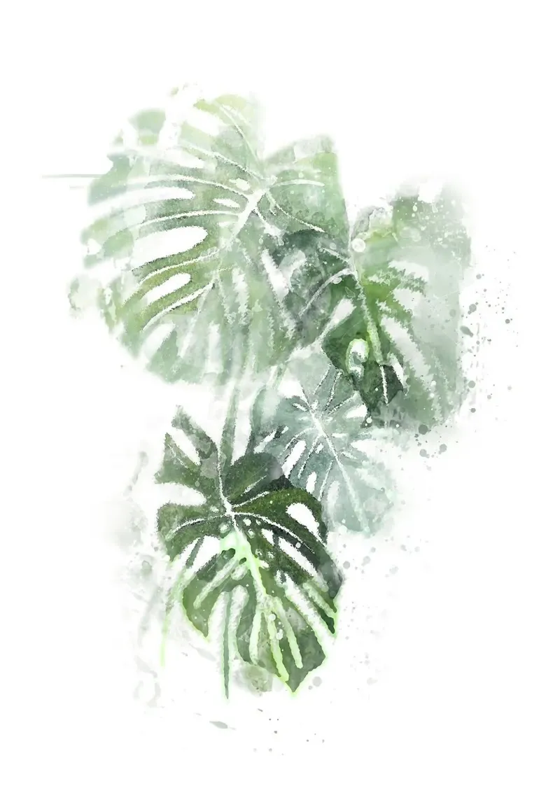 Foglie astratte di Monstera pellicola backlit da Abstract Botanical Art