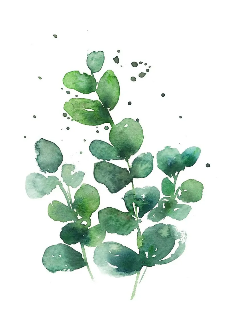 Arte botánico abstracto metacrilato de Abstract Botanical Art