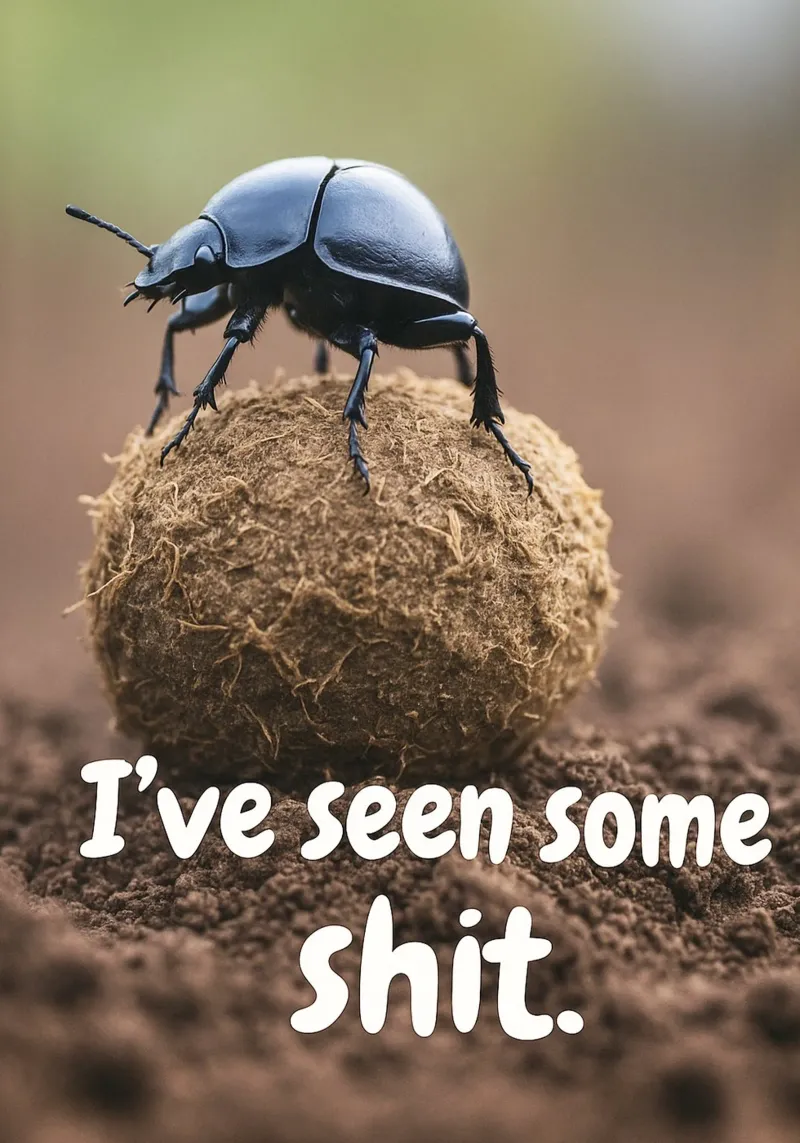 Ho visto un uomo di merda carta hahnemühle da the gondals