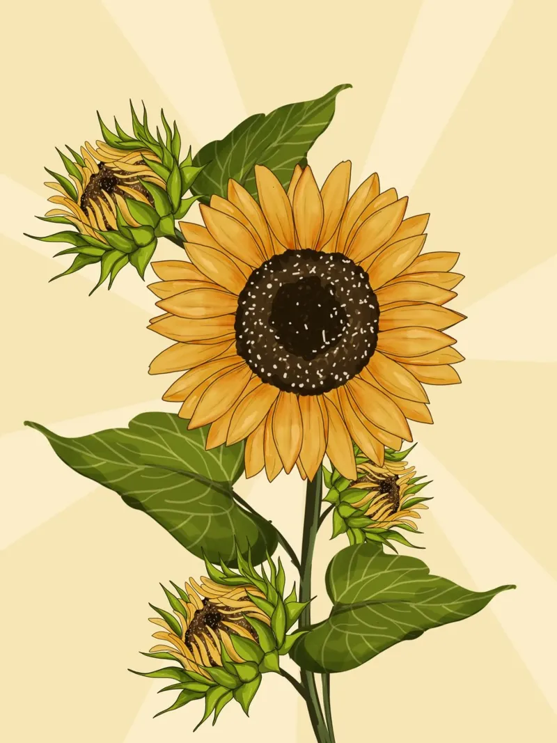 Campo di girasoli in fiore vintage pellicola backlit da Mitalim Designs